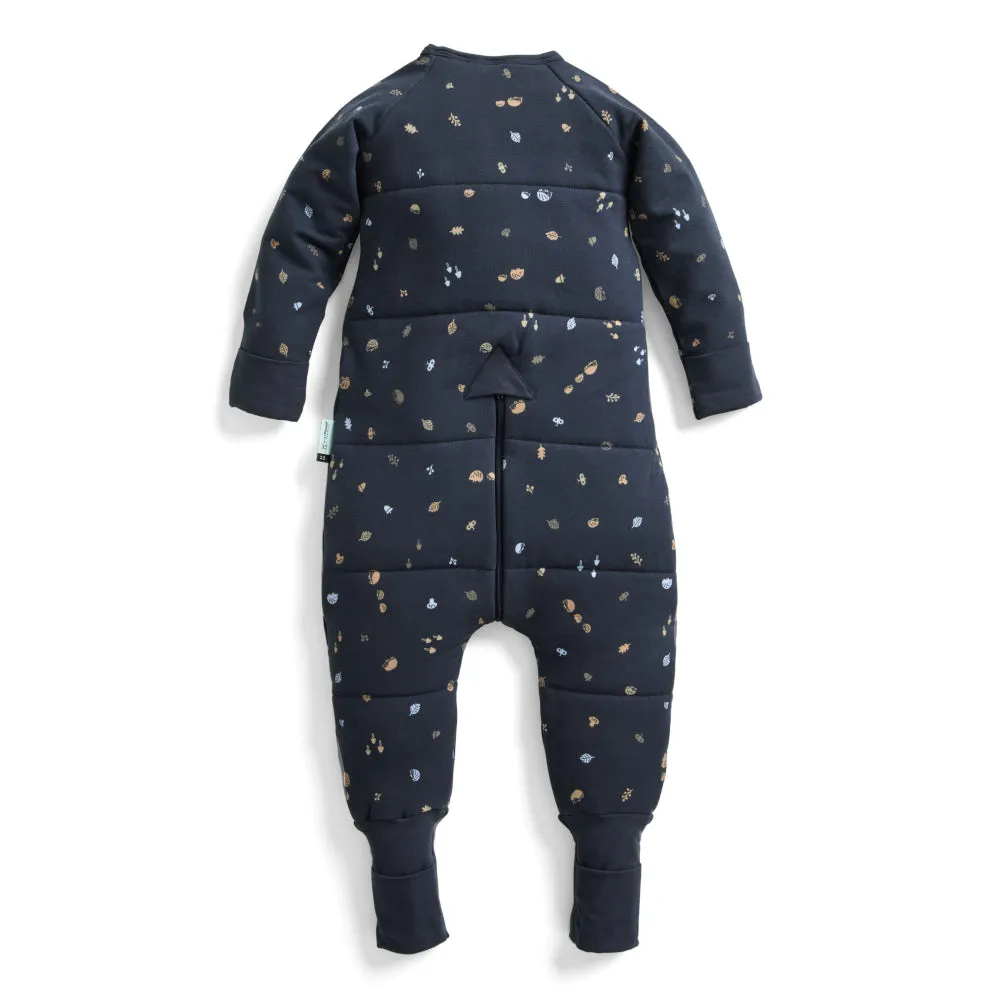 ergoPouch Long Sleeved Sleep Onesie 2.5 Tog - Hedgehog