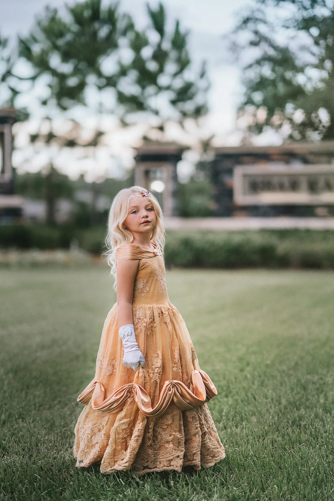 Portrait Collection Red Rose Princess Gown